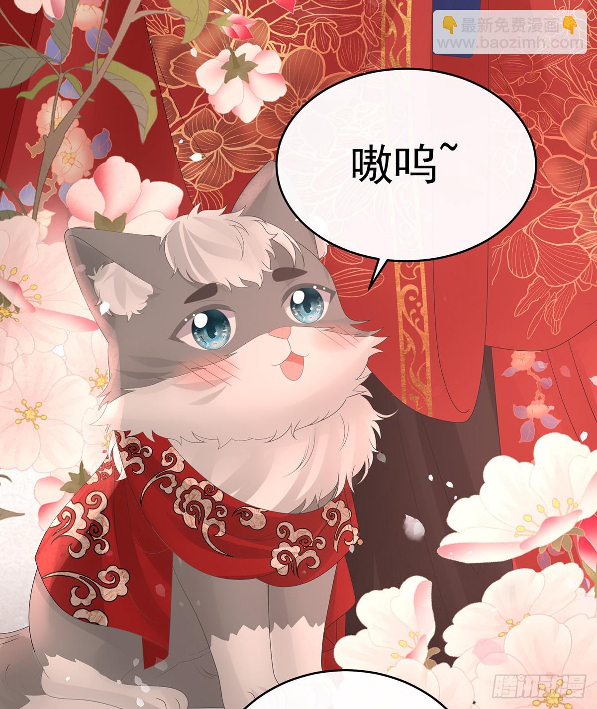 妻主，請享用（別名：天喜紅鸞） - 天喜紅鸞 上(1/2) - 1