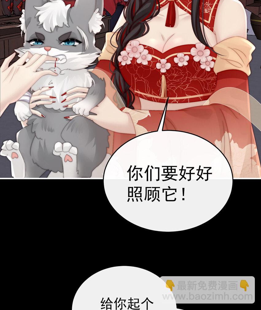 妻主，請享用（別名：天喜紅鸞） - 第20話 白嫖一隻狼崽(1/2) - 1