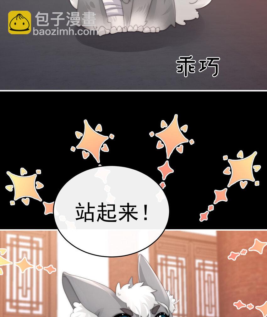 妻主，請享用（別名：天喜紅鸞） - 第20話 白嫖一隻狼崽(1/2) - 8