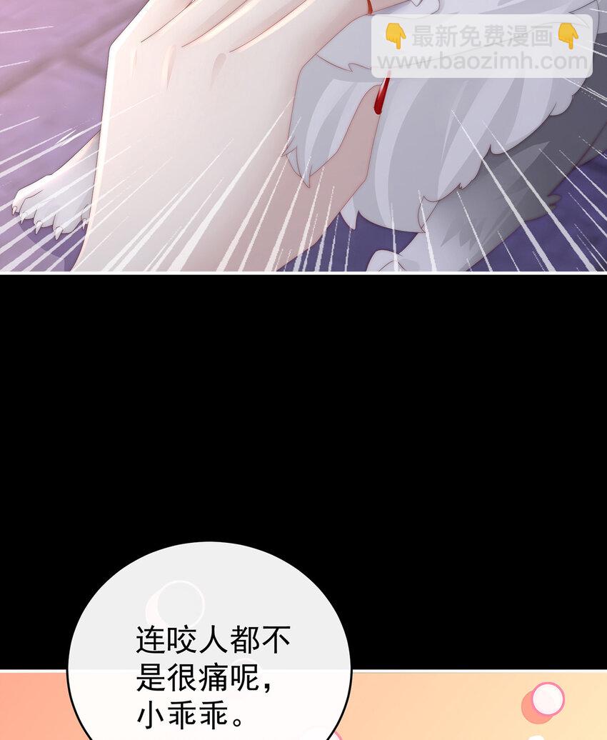 妻主，請享用（別名：天喜紅鸞） - 第20話 白嫖一隻狼崽(1/2) - 1