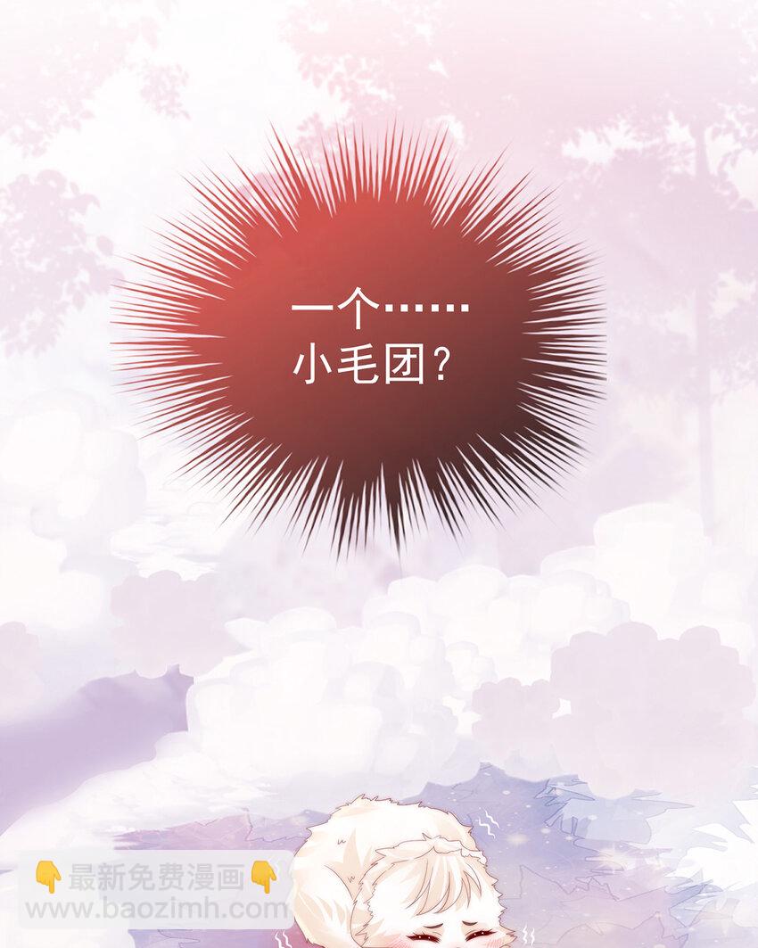 妻主，請享用（別名：天喜紅鸞） - 第26話 可憐的小毛團(1/2) - 7