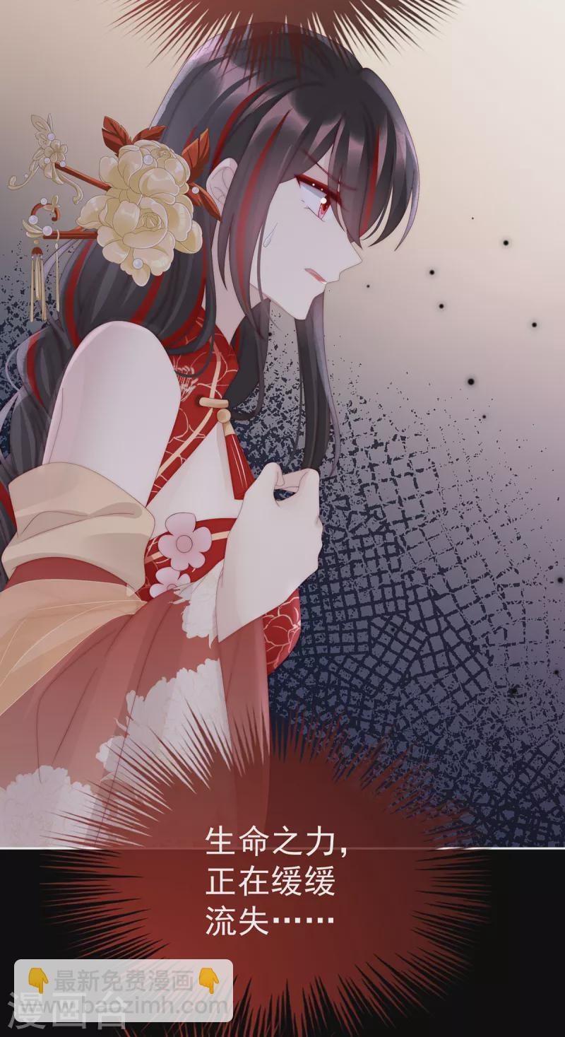 第63话 小猪仔要死了？！-第67话