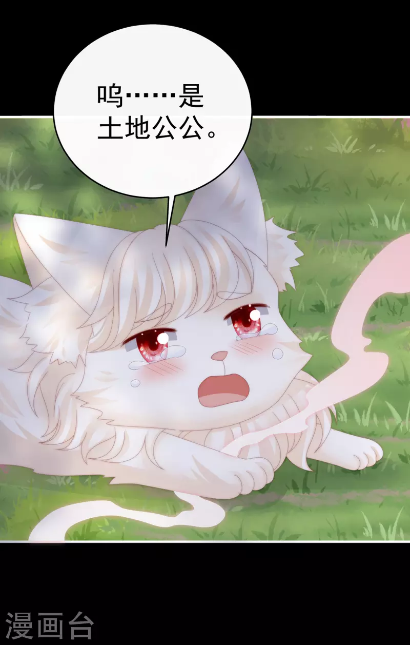 妻主，請享用（別名：天喜紅鸞） - 第83話 我願意等她醒來 - 3