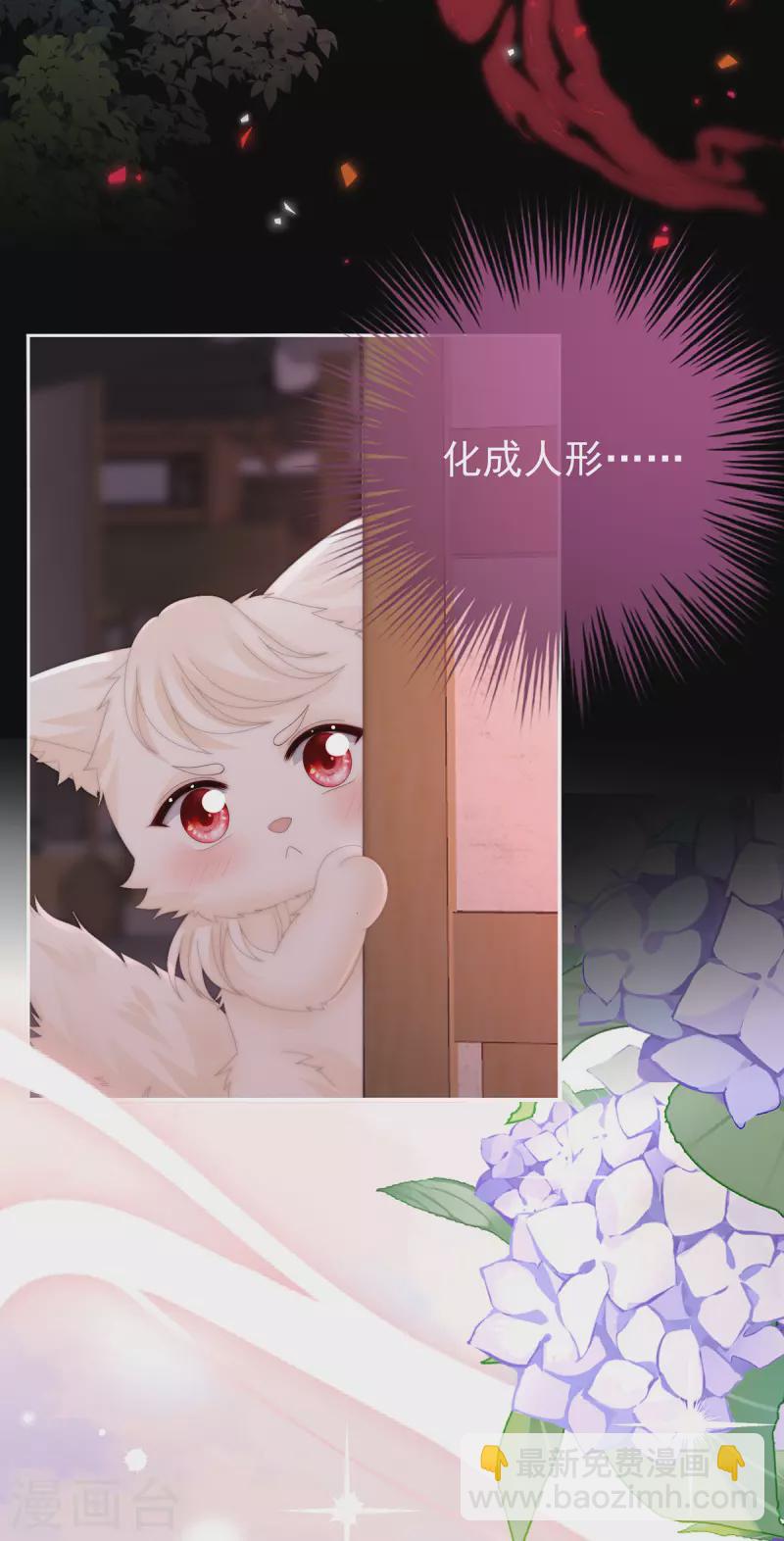 妻主，請享用（別名：天喜紅鸞） - 第83話 我願意等她醒來 - 4