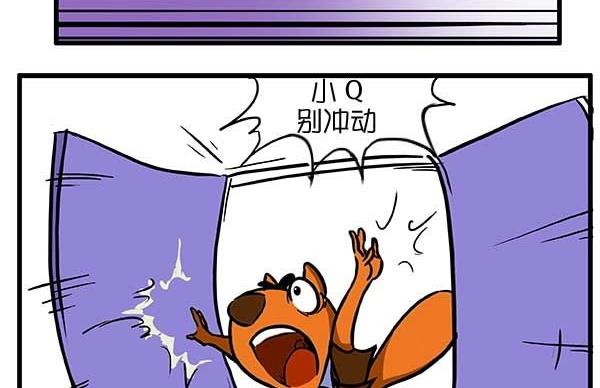 拯救小Q-第39话