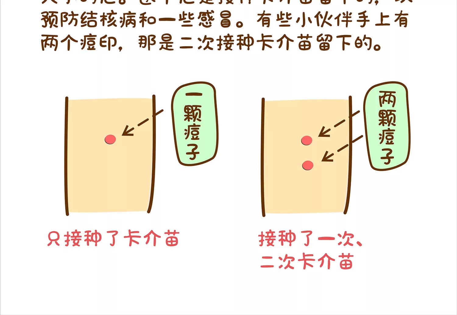 全家微生物 - 面包驾驶员（二）(1/2) - 3