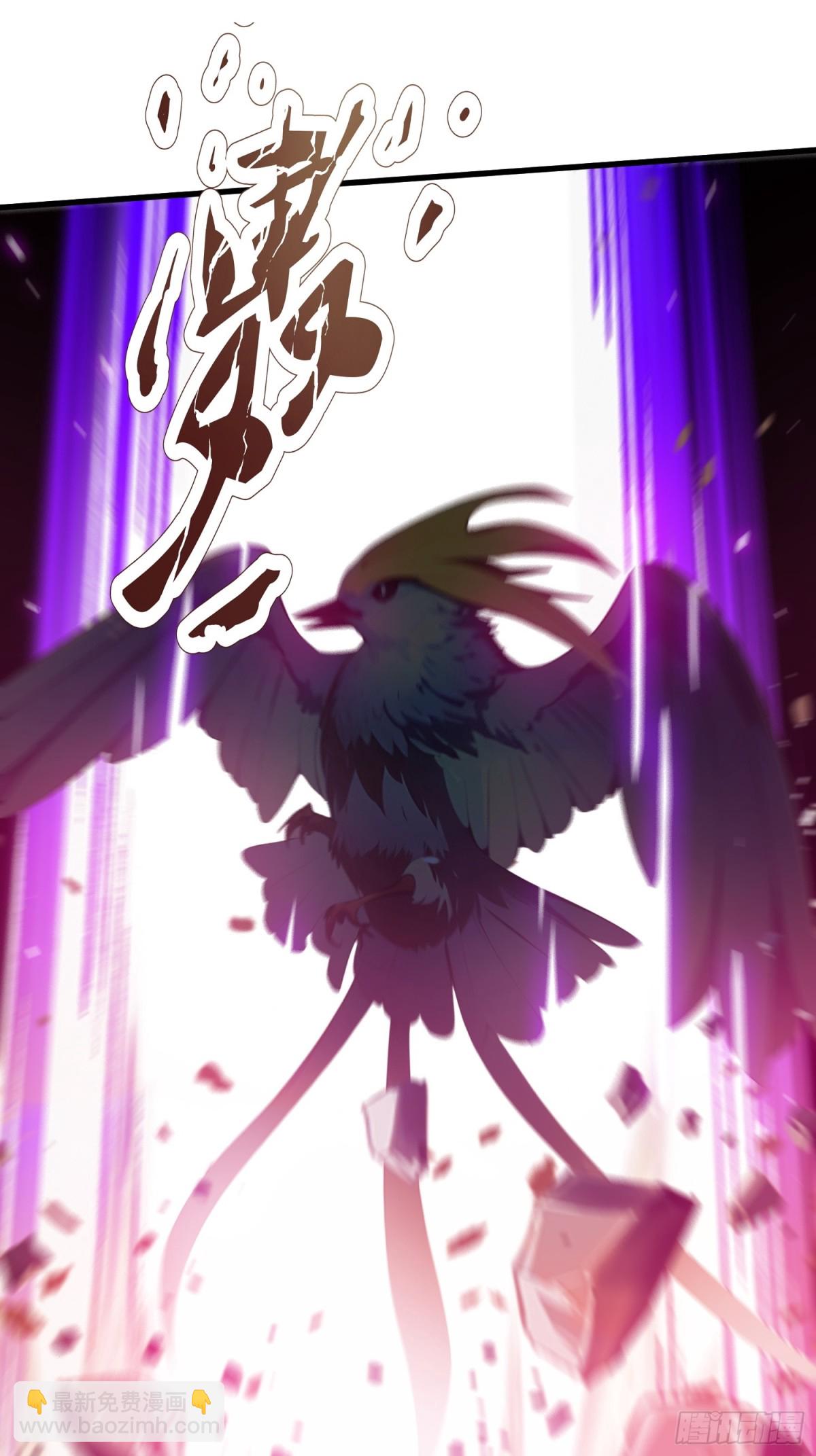 22 秦爽的滑铁卢(1/2)-第23话