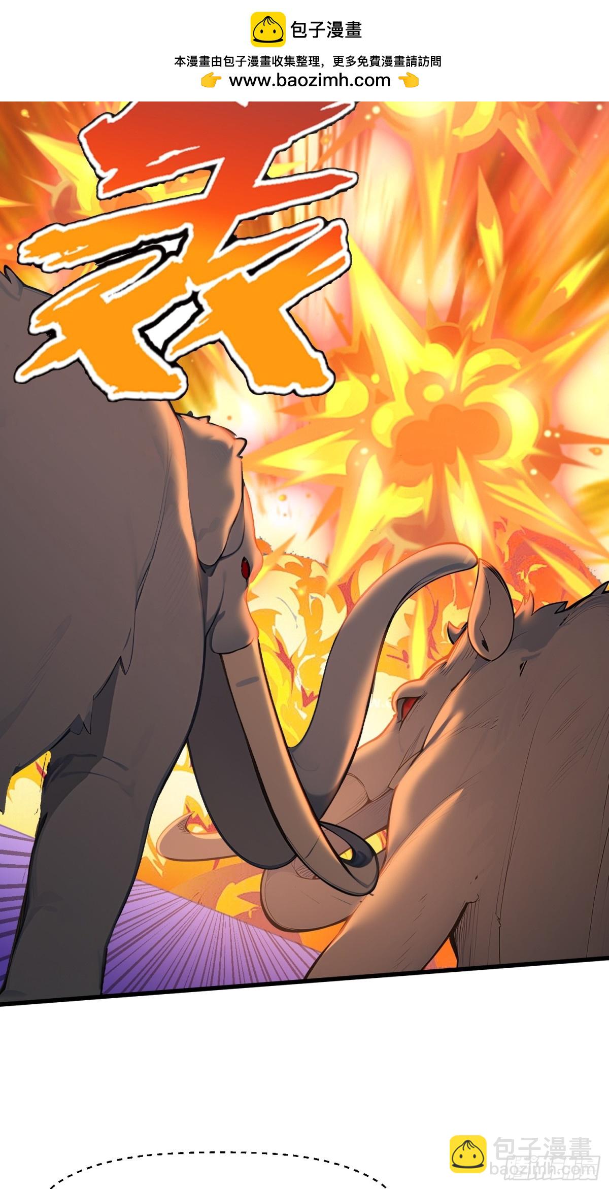 28 对战半神象主(1/2)-第29话