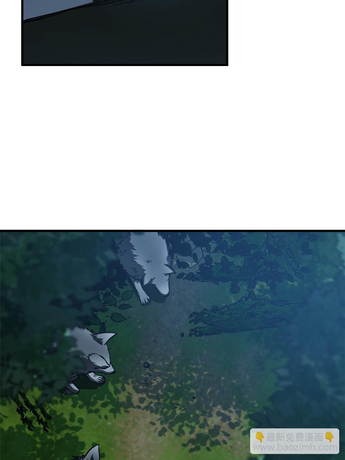 31.jpg