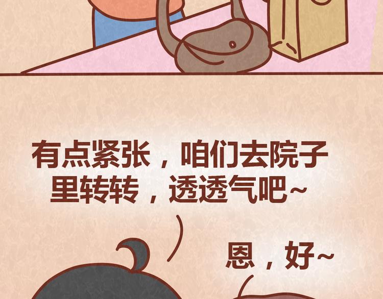 第54话 宠物和女婿，丈母娘选哪个？-第53话