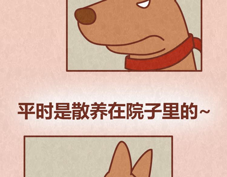 第54话 宠物和女婿，丈母娘选哪个？-第53话