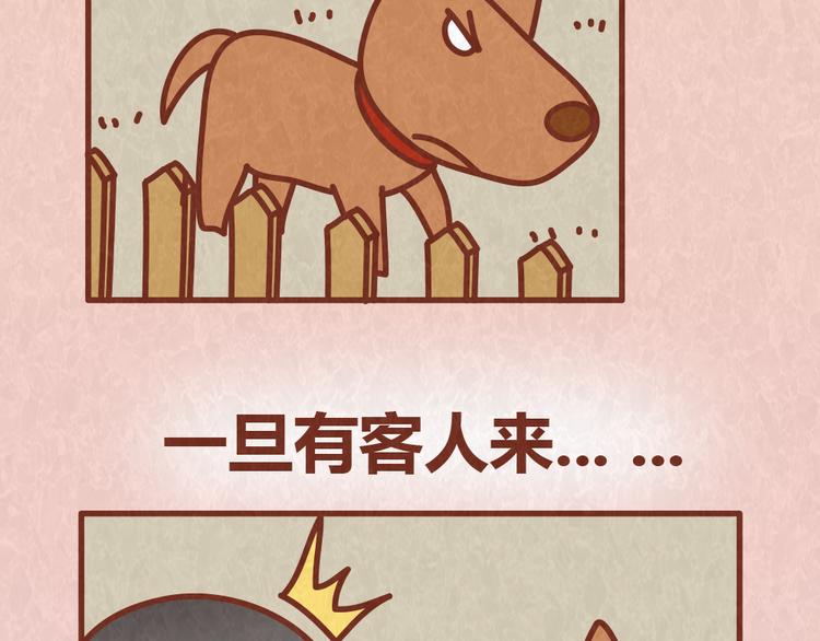 第54话 宠物和女婿，丈母娘选哪个？-第53话