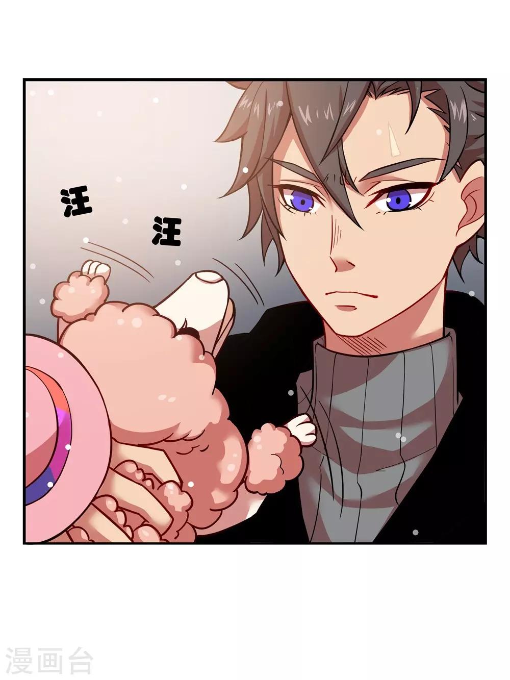 第17话 &ldquo;宠物&rdquo;-第17话