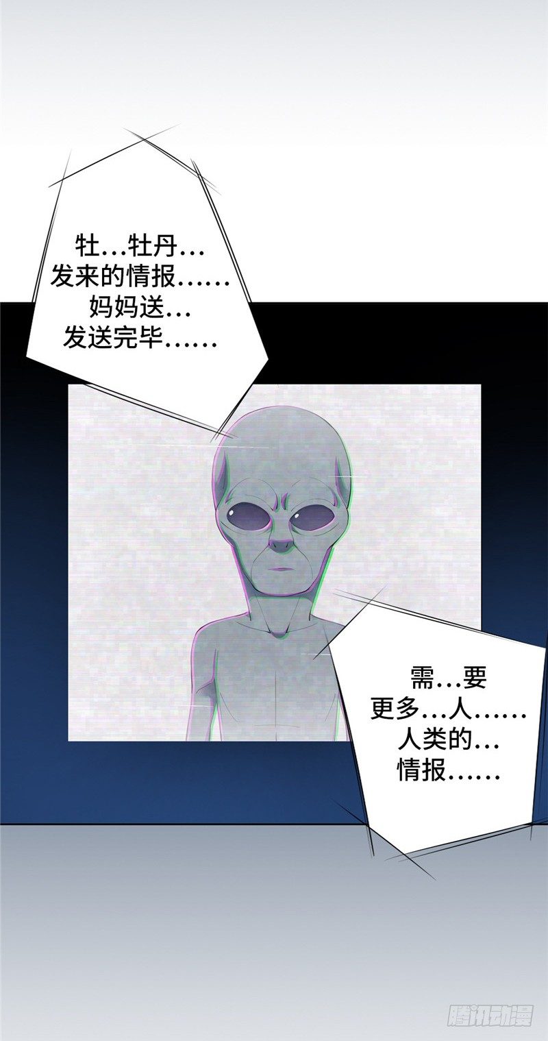 大师D 41-第117话