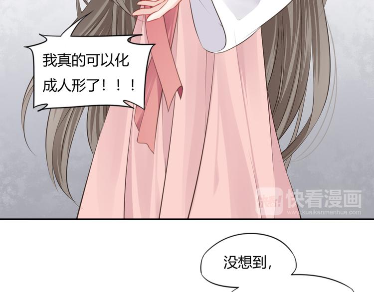 第10话 修仙的愿望(1/2)-第11话