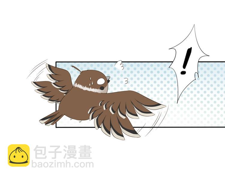 第2话 她是我罩的(1/3)-第3话