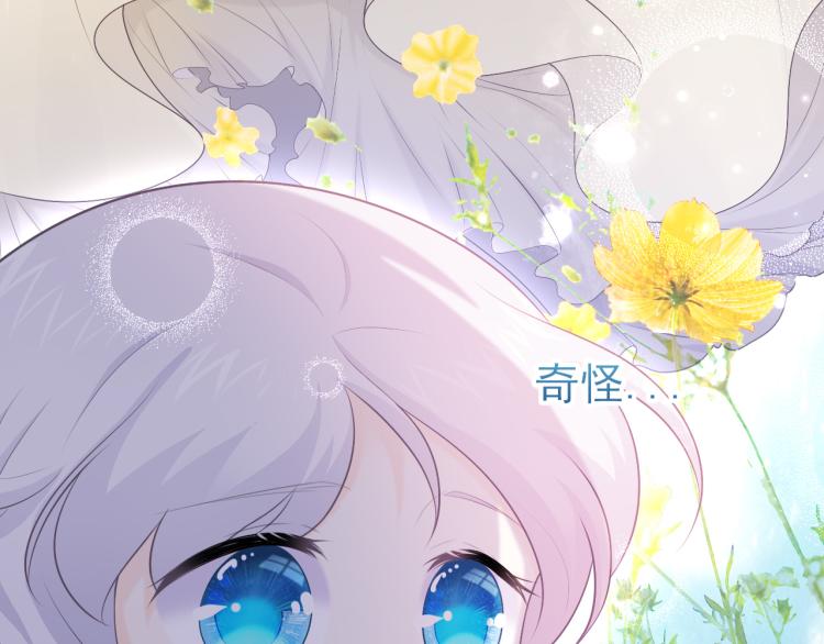 第24话：离群的北斗星(1/2)-第33话