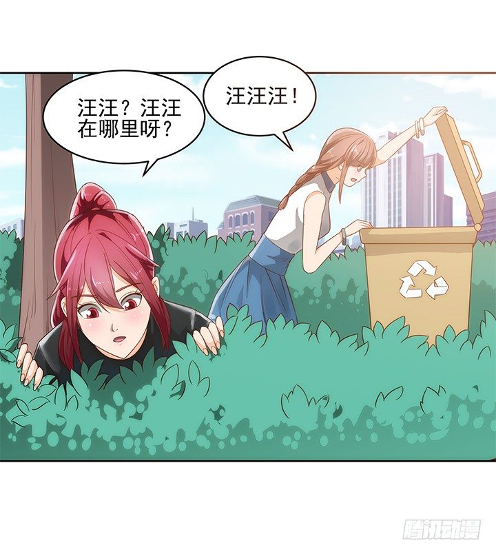 5话 寻猫有道(1/2)-第5话