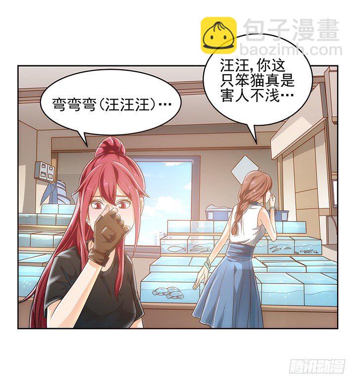 5话 寻猫有道(1/2)-第5话