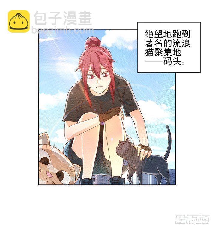 5话 寻猫有道(1/2)-第5话