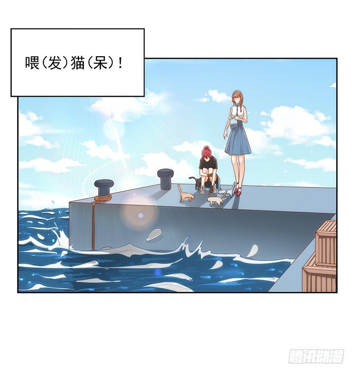 5话 寻猫有道(1/2)-第5话