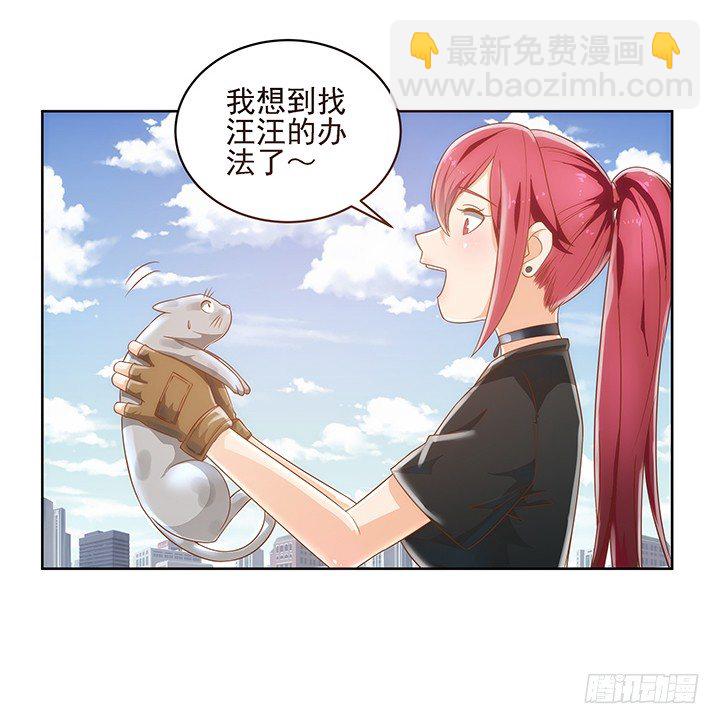 5话 寻猫有道(1/2)-第5话