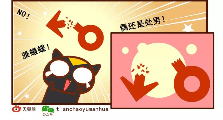 燃燒吧小羽宙 - 養貓記2 - 4