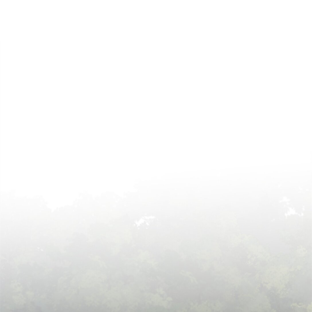 014 狼蛛(1/2)-第13话