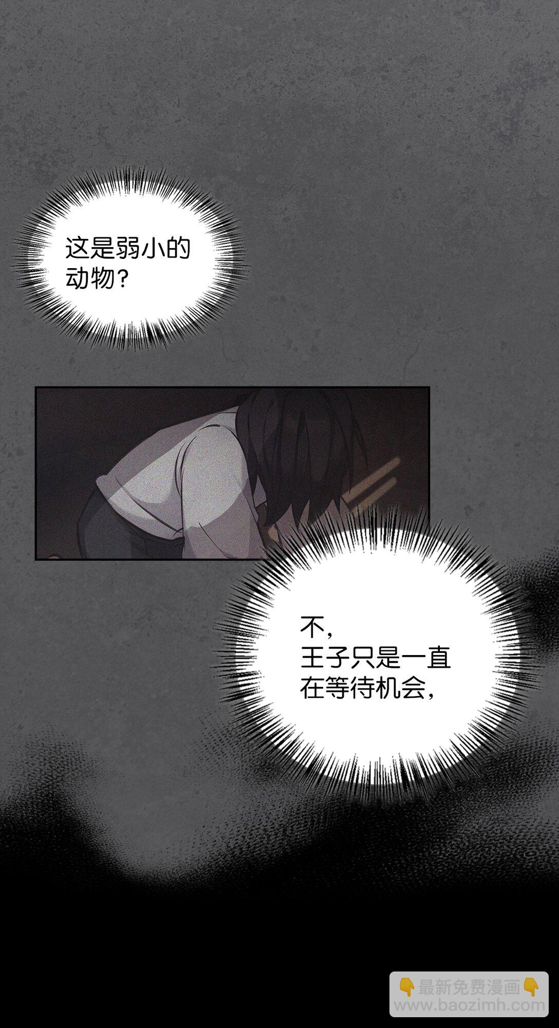 008 进入龙之森(1/2)-第7话