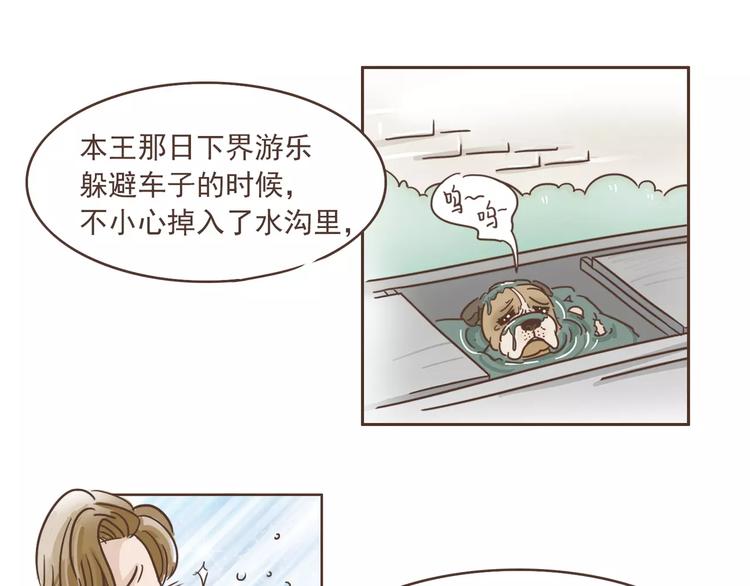 第20话 救星驾到-第21话