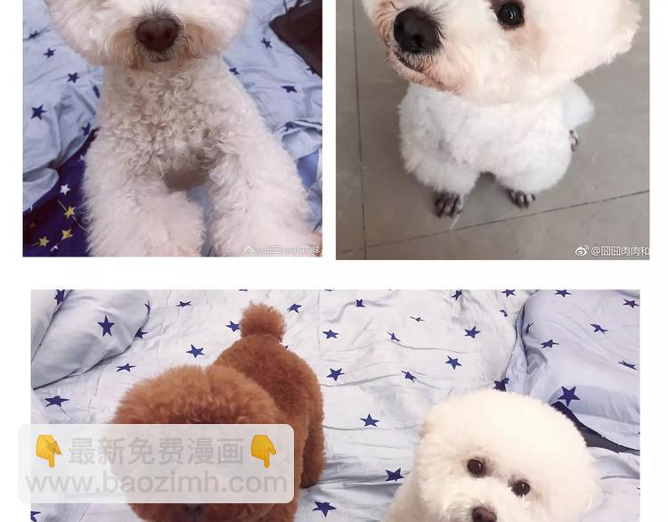 完结篇 重新开始-第25话