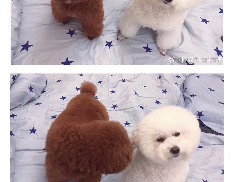 完结篇 重新开始-第25话