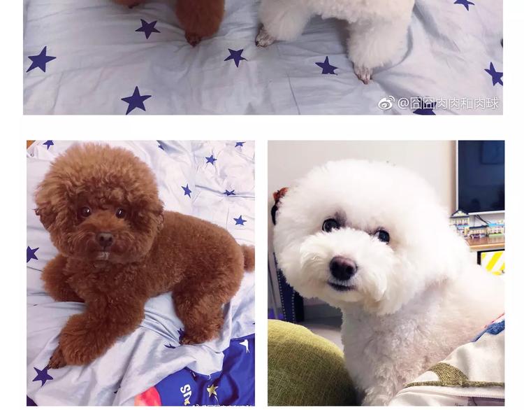 完结篇 重新开始-第25话