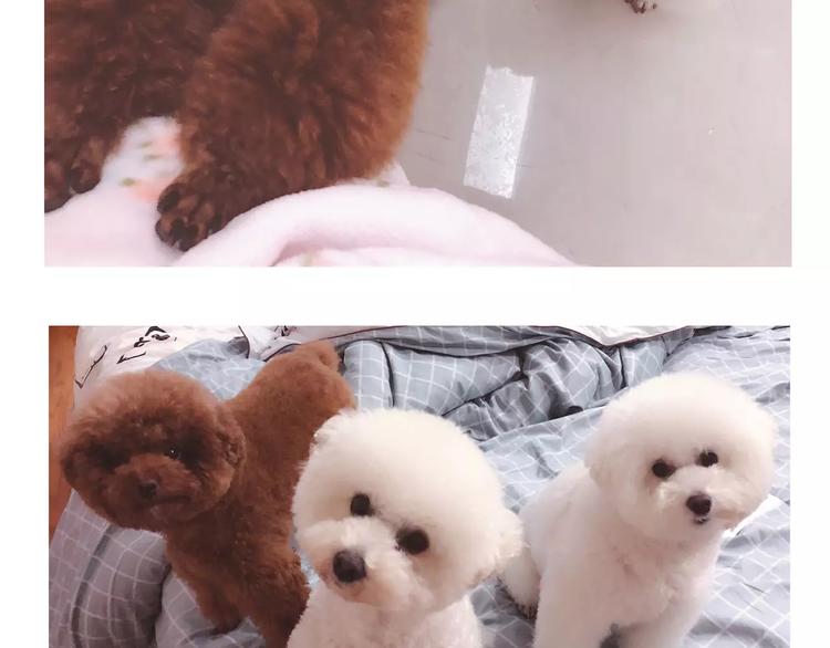 完结篇 重新开始-第25话