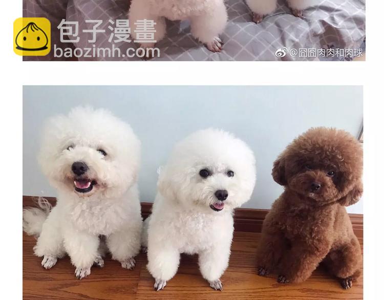 完结篇 重新开始-第25话