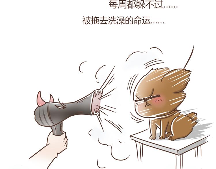 第5话 偶遇帅哥老板-第5话