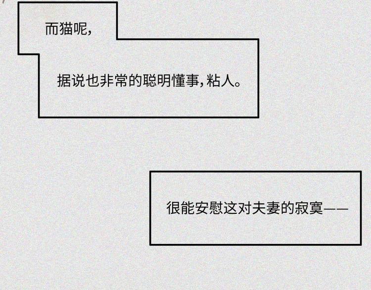 第20话-猫妖篇：怪事由来(1/2)-第27话