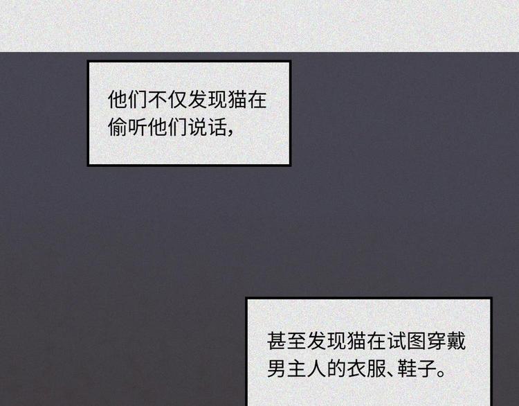 第20话-猫妖篇：怪事由来(1/2)-第27话