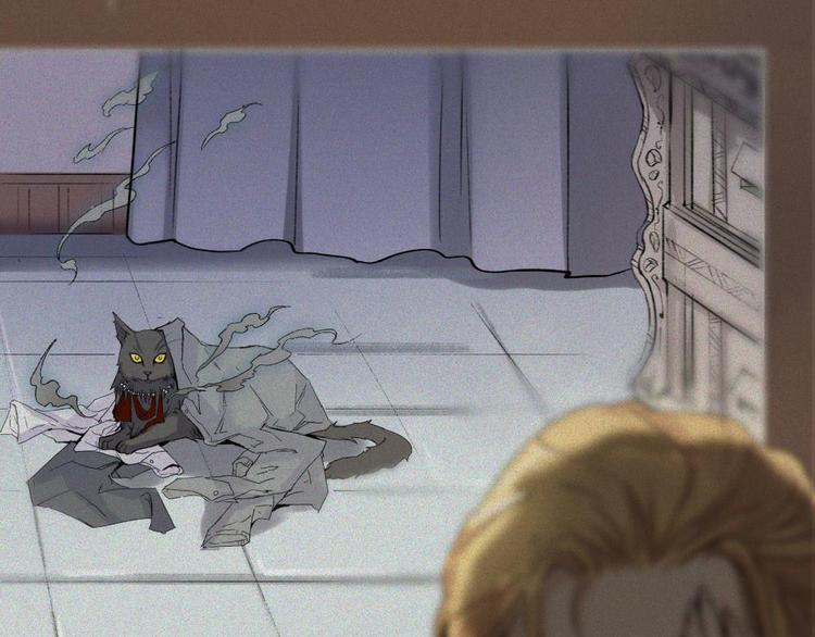 第20话-猫妖篇：怪事由来(1/2)-第27话