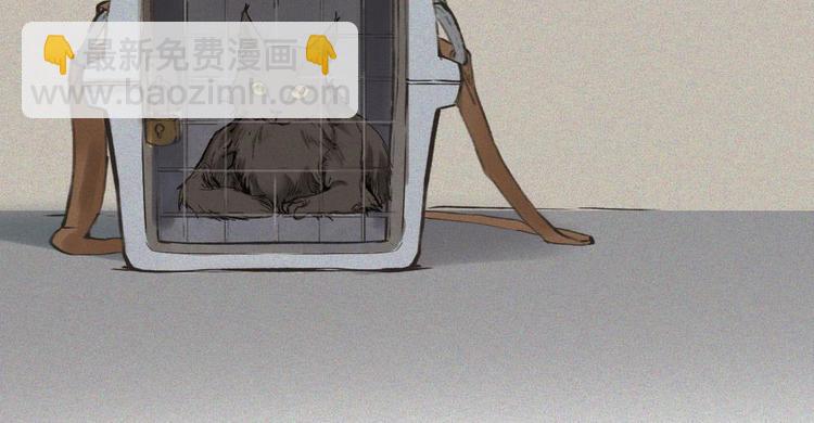 第20话-猫妖篇：怪事由来(1/2)-第27话