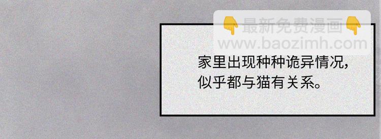 第20话-猫妖篇：怪事由来(1/2)-第27话