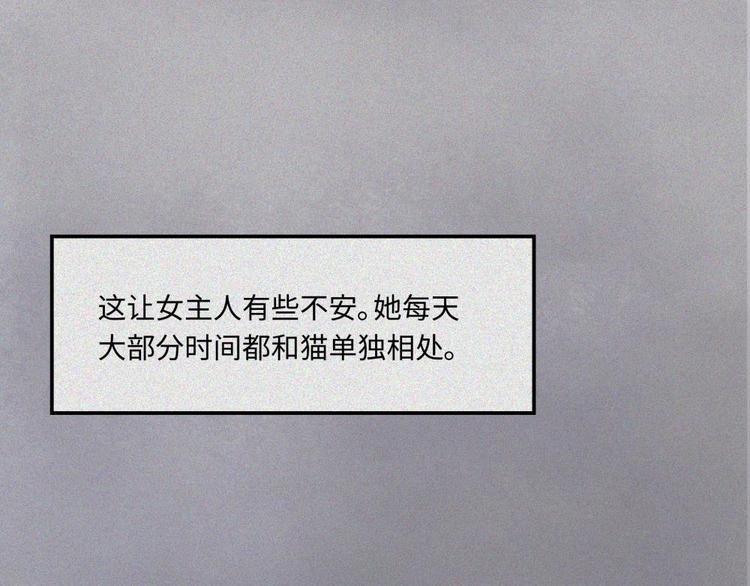 第20话-猫妖篇：怪事由来(1/2)-第27话