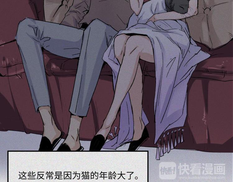 第20话-猫妖篇：怪事由来(1/2)-第27话