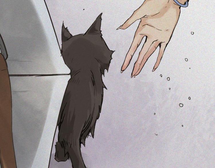 第20话-猫妖篇：怪事由来(1/2)-第27话