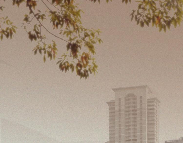 第26话-猫妖篇：新的开始(1/2)-第33话