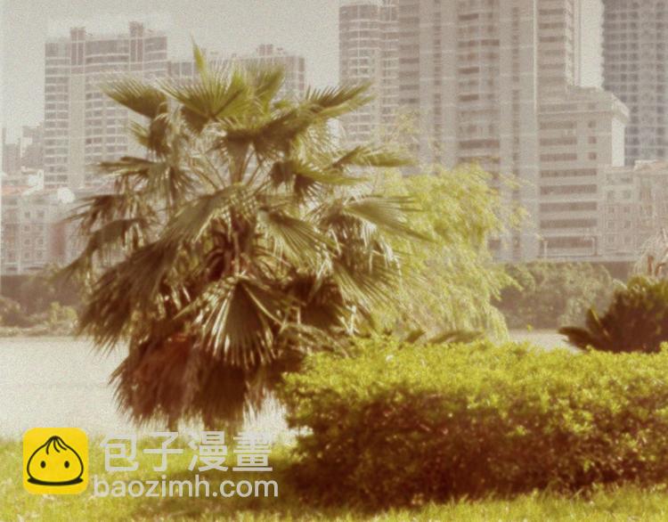 第26话-猫妖篇：新的开始(1/2)-第33话