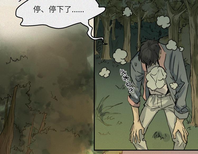 第26话-猫妖篇：新的开始(1/2)-第33话