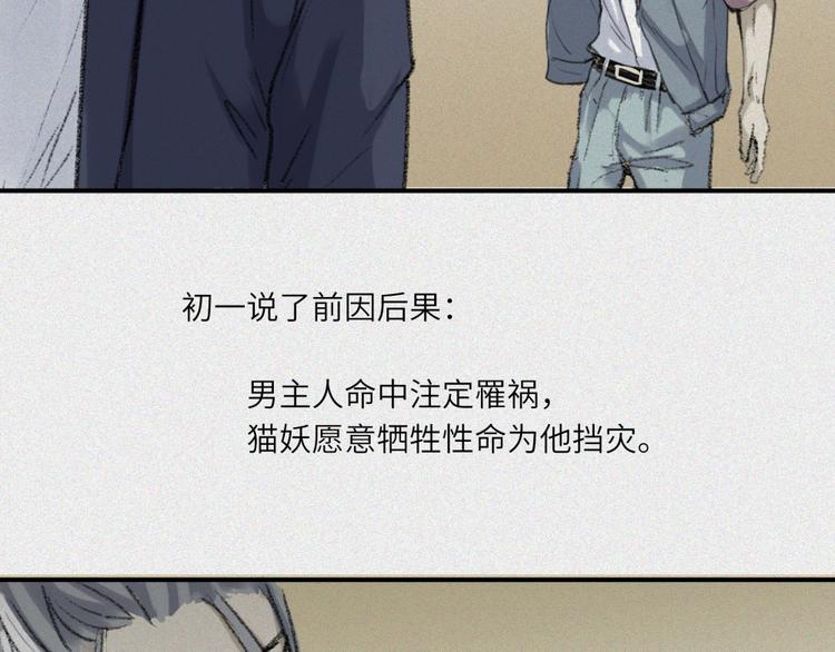 第26话-猫妖篇：新的开始(1/2)-第33话