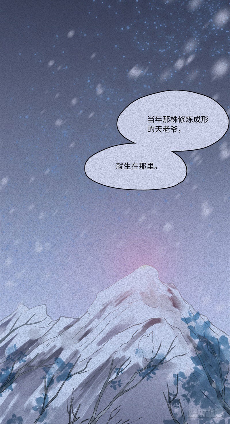 第48话-妖影篇：村外秘洞-第55话