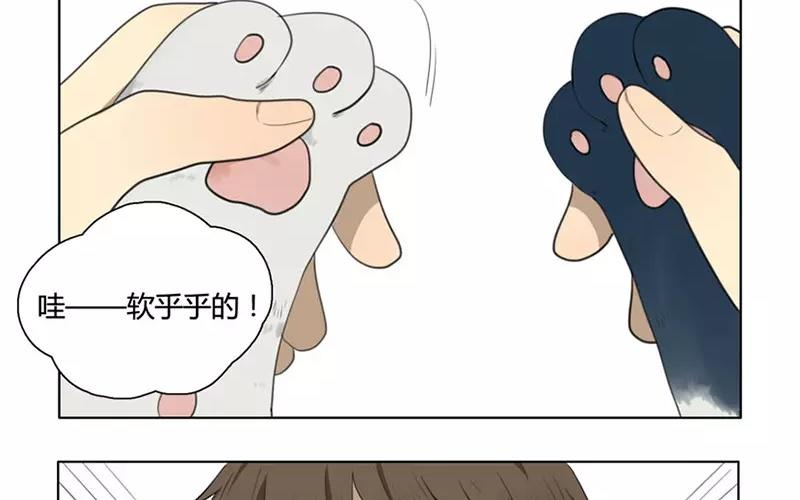 第19话  纯洁的灵魂（中）(1/2)-第17话